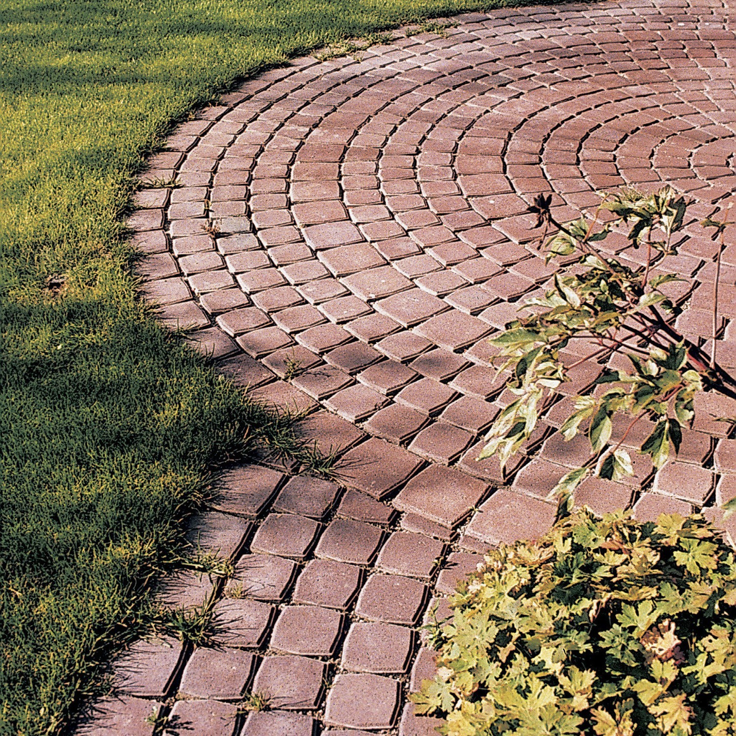 FORUM® KREIS & SCHUPPE - Image 4