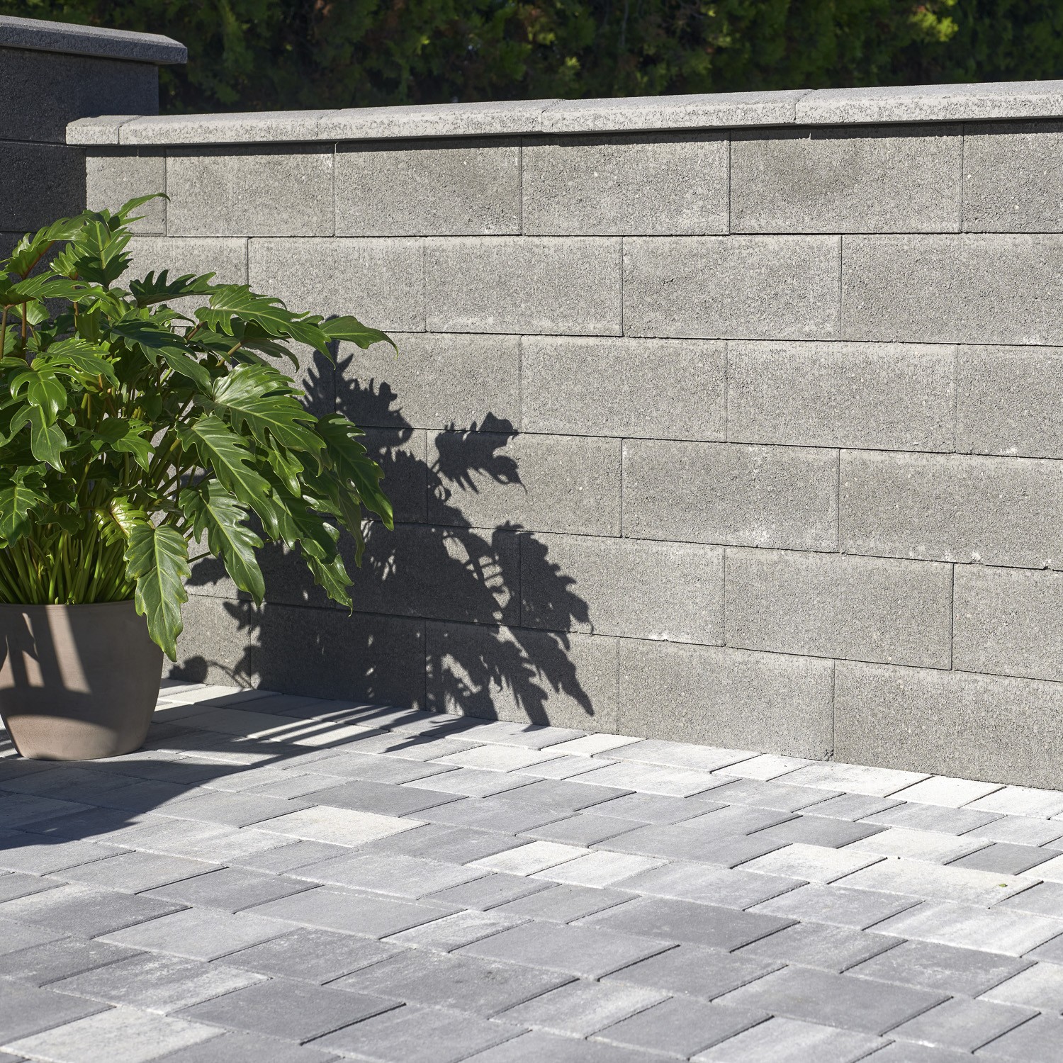 LISO MAUER/ZAUN - Image 5