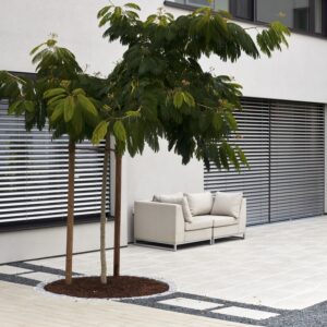 PRIMAVERA MIT IMPRÄGNIERUNG