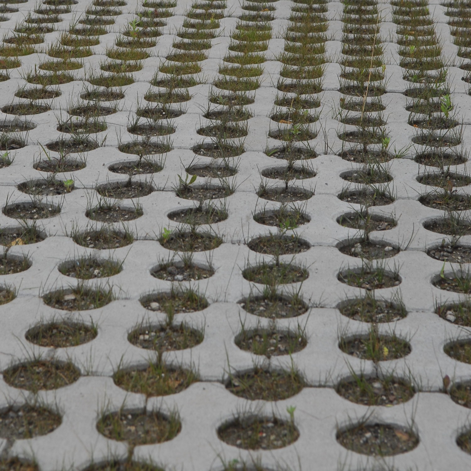 RONDO® RASENSTEIN - Image 2