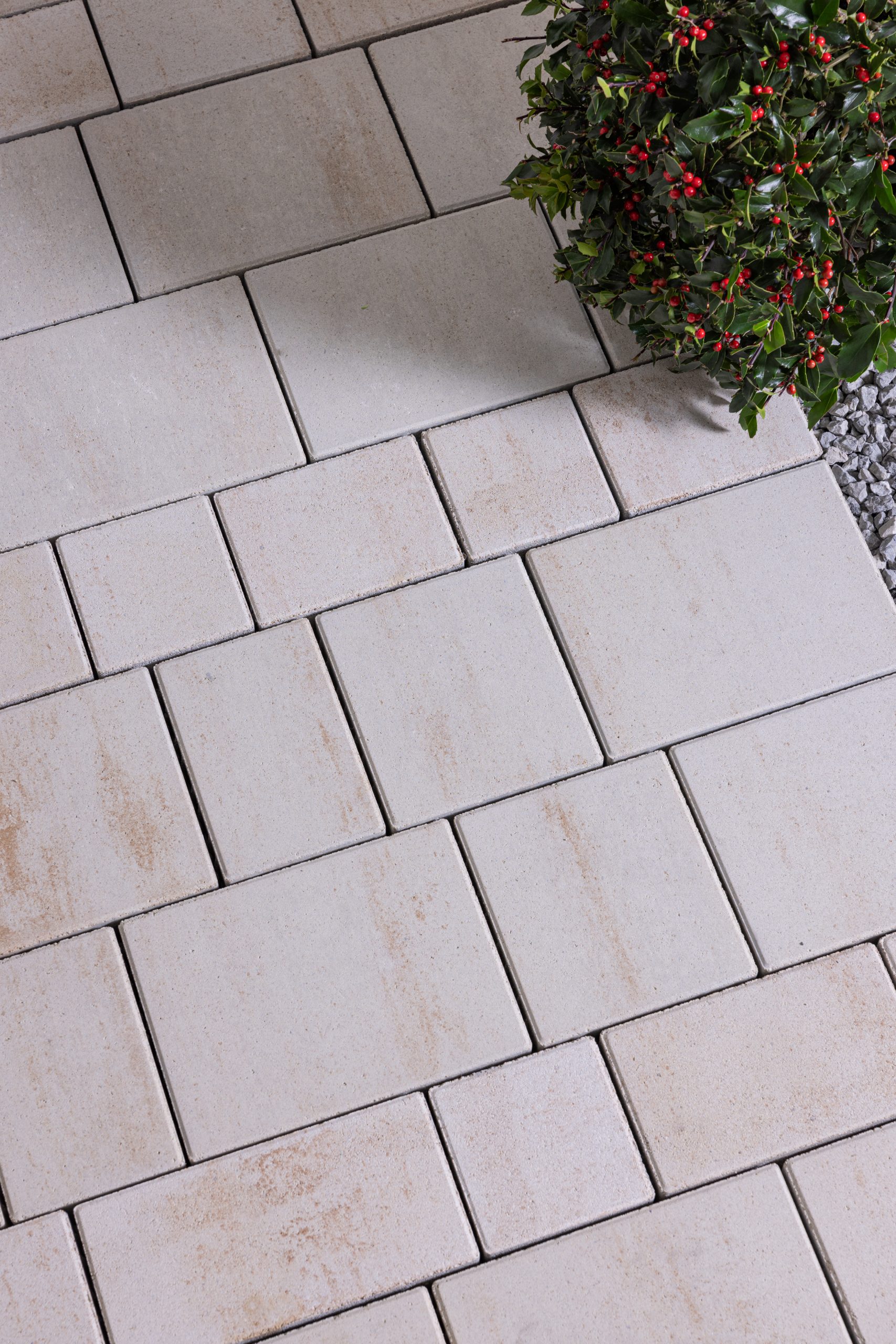 TANGO®GROSSO - Image 2