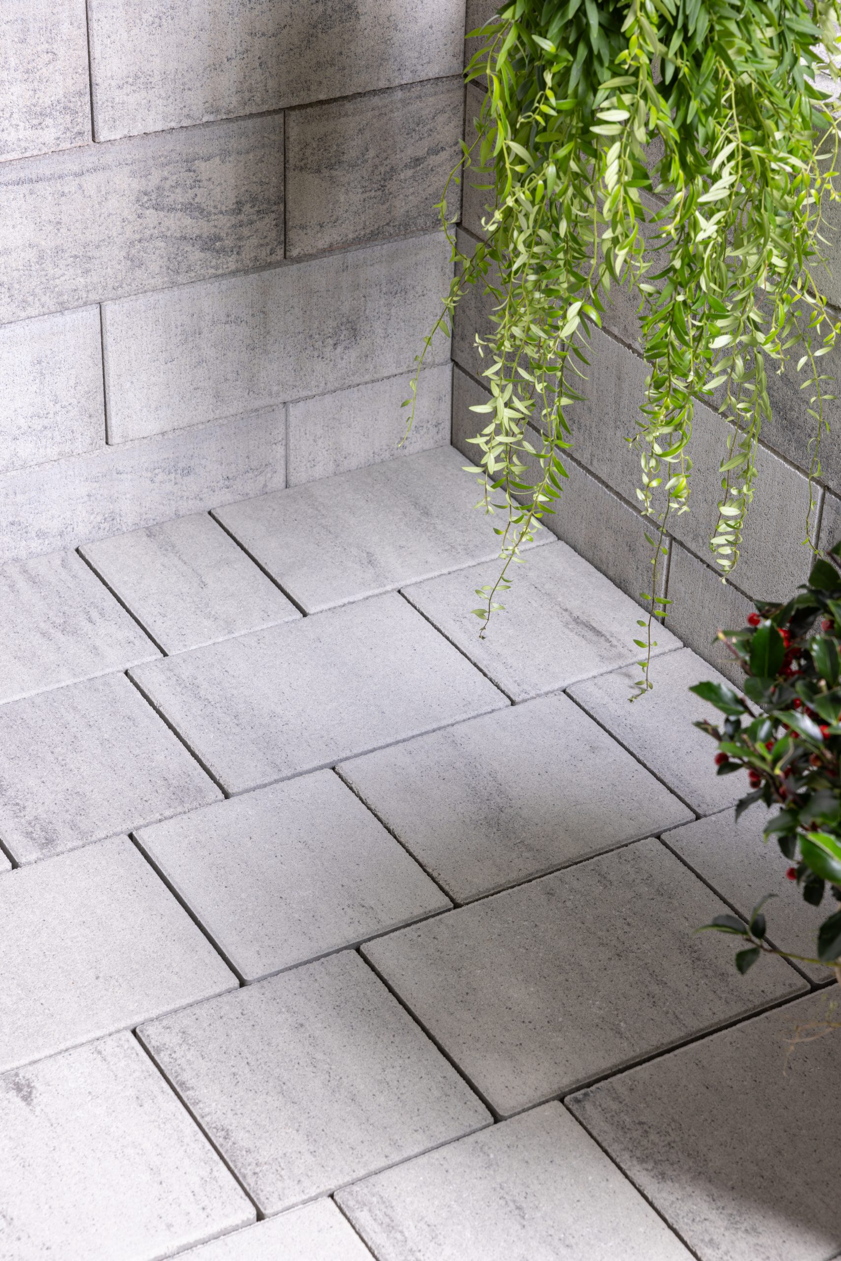 TANGO®GROSSO - Image 3