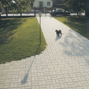 WELLENSTEIN 8 ohne Fase